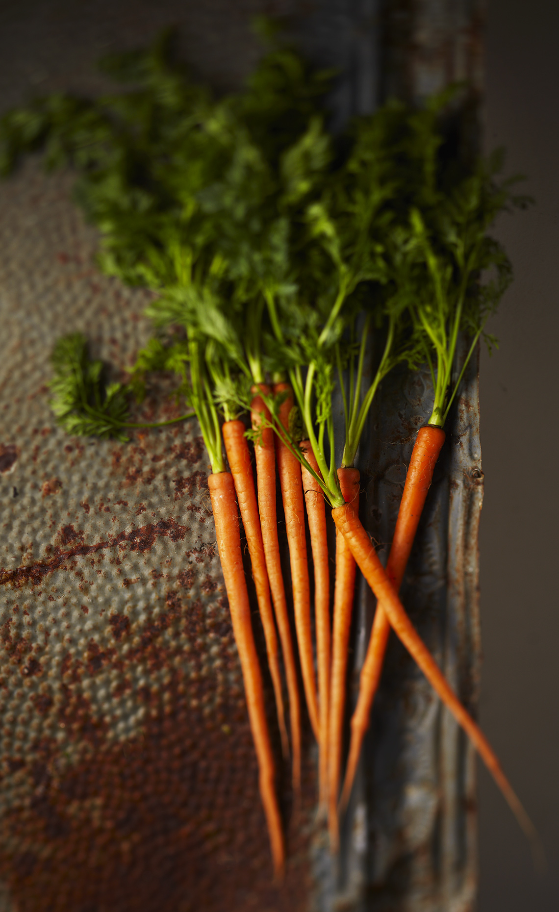 Carrot greens